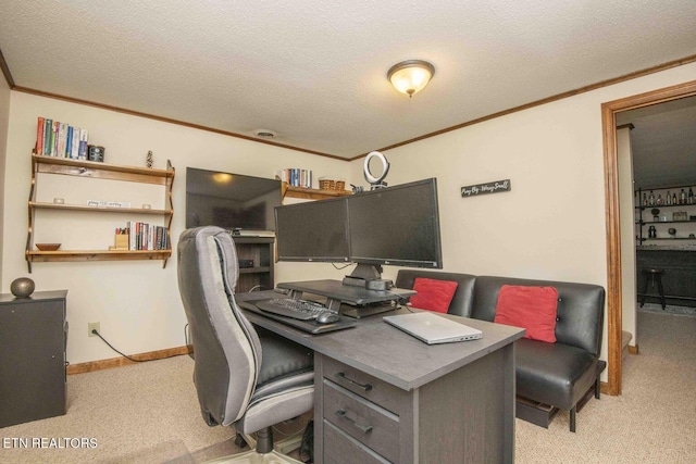 7745 Keswick Rd, Powell, TN 37849 - office with crown molding, carpet, and a textured ceiling
