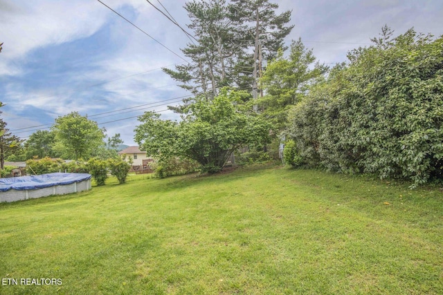 7745 Keswick Rd, Powell, TN 37849 - view of grassy yard with a covered pool