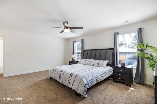1024 Curly Top Ln, Knoxville, TN 37932 - carpeted bedroom with baseboards and a ceiling fan