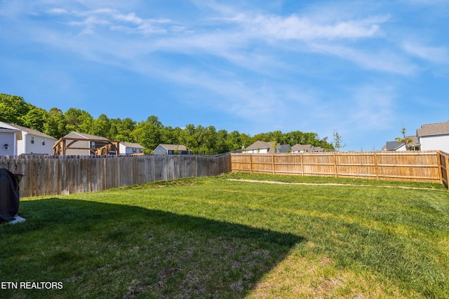 1024 Curly Top Ln, Knoxville, TN 37932 - view of yard