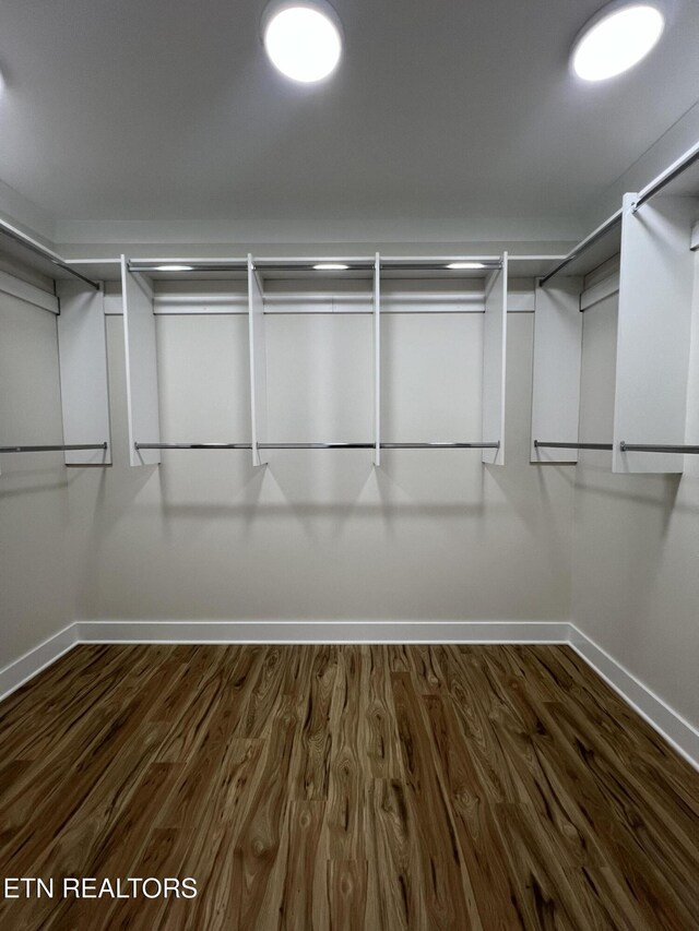 spacious closet featuring dark wood-style flooring