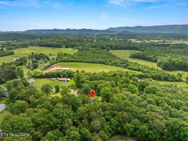 124 County Road 650, Etowah, TN 37331 - photo 38