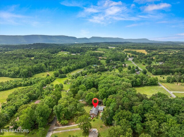 124 County Road 650, Etowah, TN 37331 - photo 40