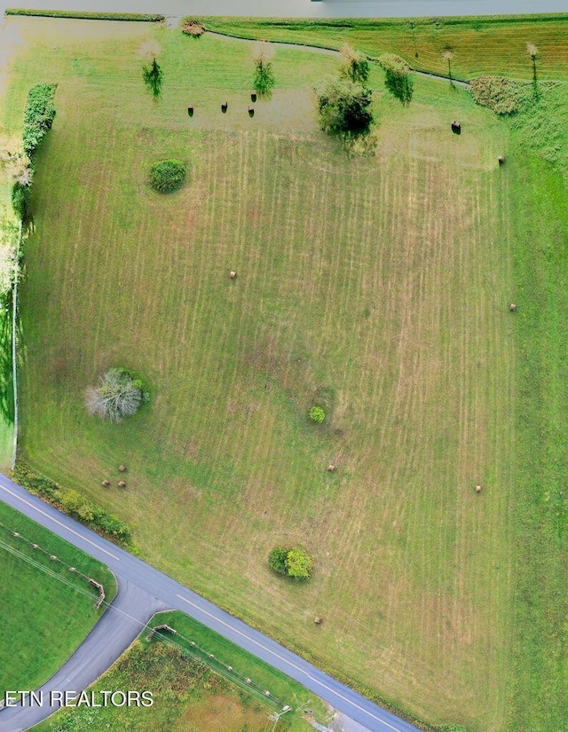 Cumberland Gap Pkwy, Harrogate, TN 37752
