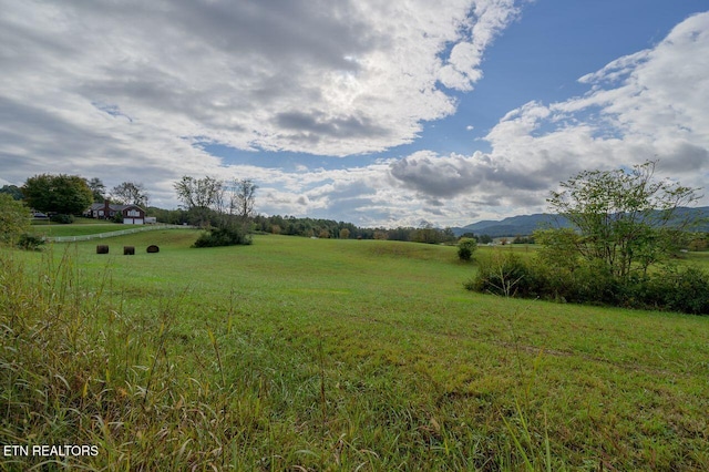 Cumberland Gap Pkwy, Harrogate, TN 37752