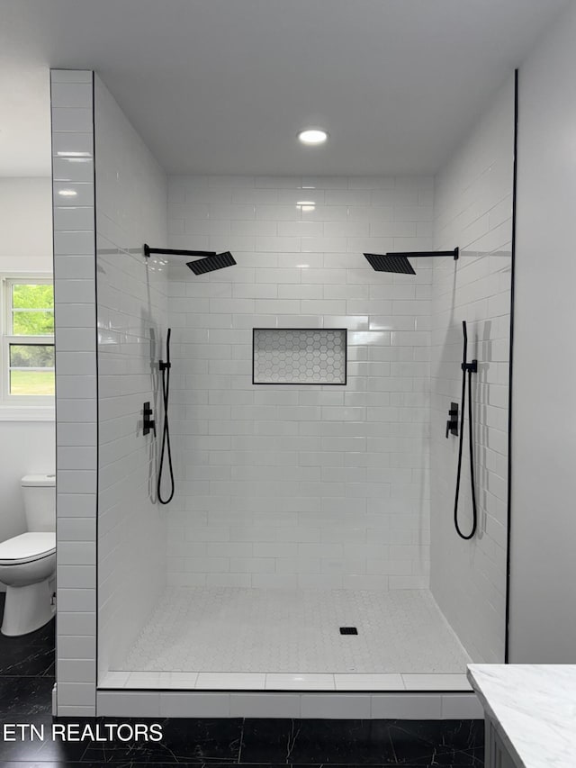 151 Clear Creek Rd, Newport, TN 37821 - full bathroom featuring toilet, a shower stall, recessed lighting, and vanity