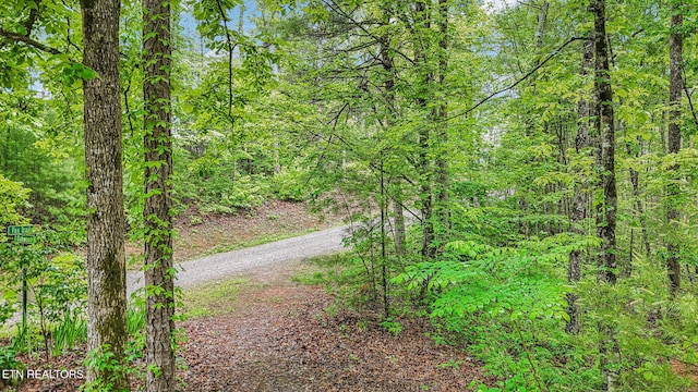 1852 Oakwood Rd, Walland, TN 37886