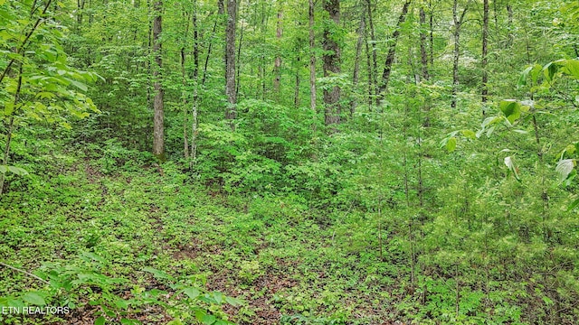 1852 Oakwood Rd, Walland, TN 37886
