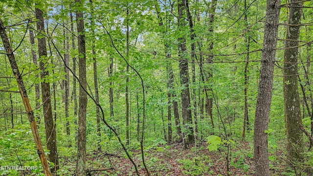 1852 Oakwood Rd, Walland, TN 37886