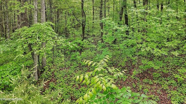 1852 Oakwood Rd, Walland, TN 37886
