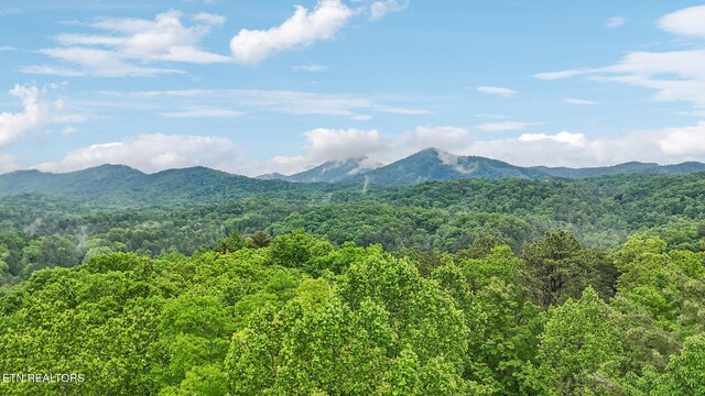 1852 Oakwood Rd, Walland, TN 37886