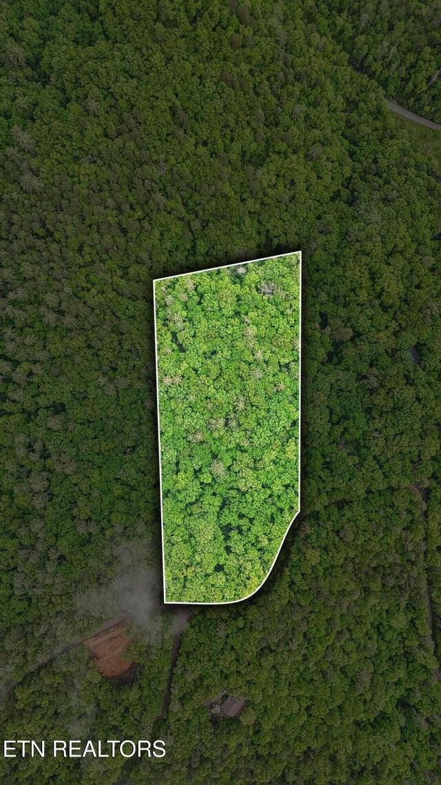 1852 Oakwood Rd, Walland, TN 37886