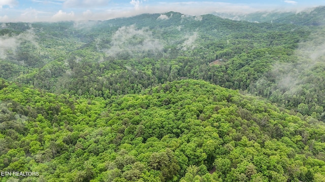 1852 Oakwood Rd, Walland, TN 37886