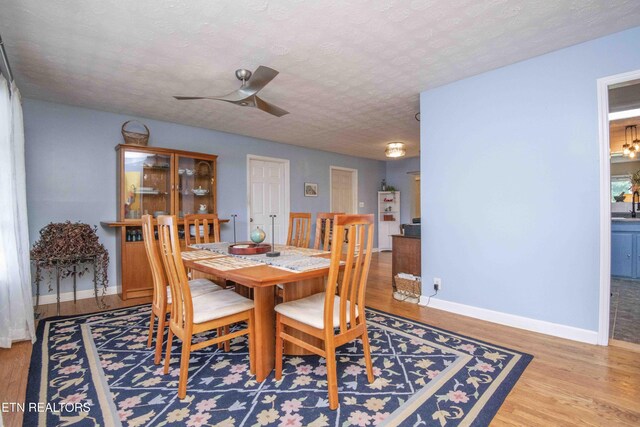 5616 NW Davida Rd, Knoxville, TN 37912 - photo 8