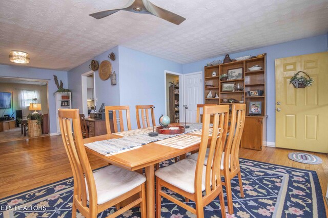 5616 NW Davida Rd, Knoxville, TN 37912 - photo 9