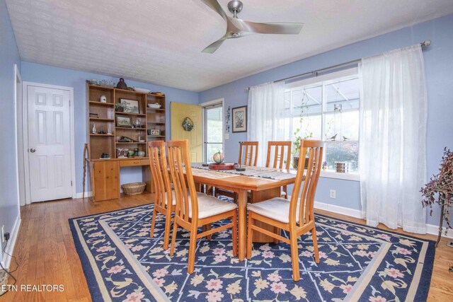 5616 NW Davida Rd, Knoxville, TN 37912 - photo 6