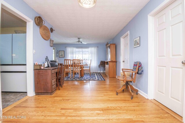 5616 NW Davida Rd, Knoxville, TN 37912 - photo 12