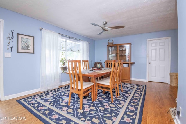 5616 NW Davida Rd, Knoxville, TN 37912 - photo 7