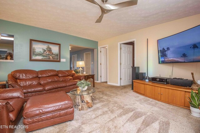 5616 NW Davida Rd, Knoxville, TN 37912 - photo 13