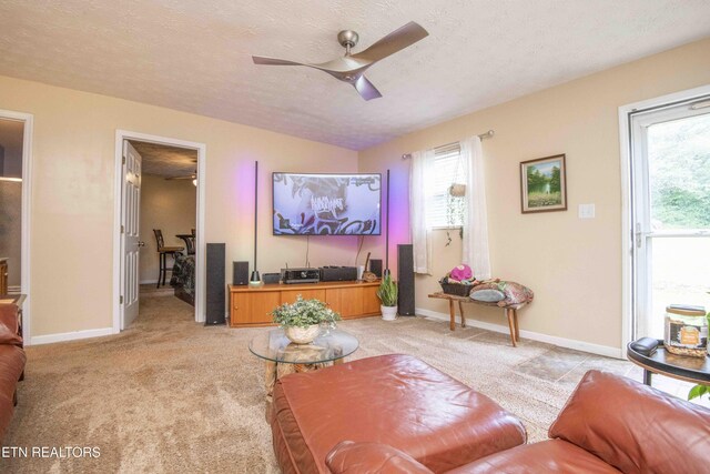 5616 NW Davida Rd, Knoxville, TN 37912 - photo 14