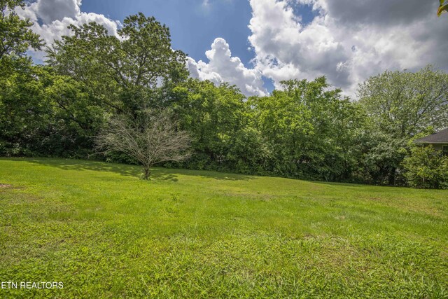 5616 NW Davida Rd, Knoxville, TN 37912 - photo 40