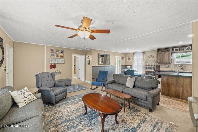 2061 Bolestown Loop, Alpine, TN 38543 - living room featuring a textured ceiling, a ceiling fan, and light colored carpet