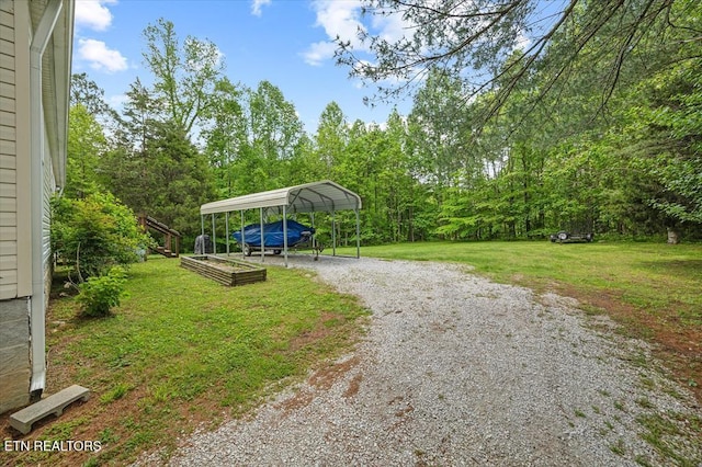 2061 Bolestown Loop, Alpine, TN 38543 - view of grassy yard featuring a detached carport, driveway, and a forest view
