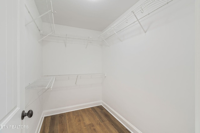 4834 Fountain View Way, Knoxville, TN 37918 - walk in closet with dark wood-style flooring