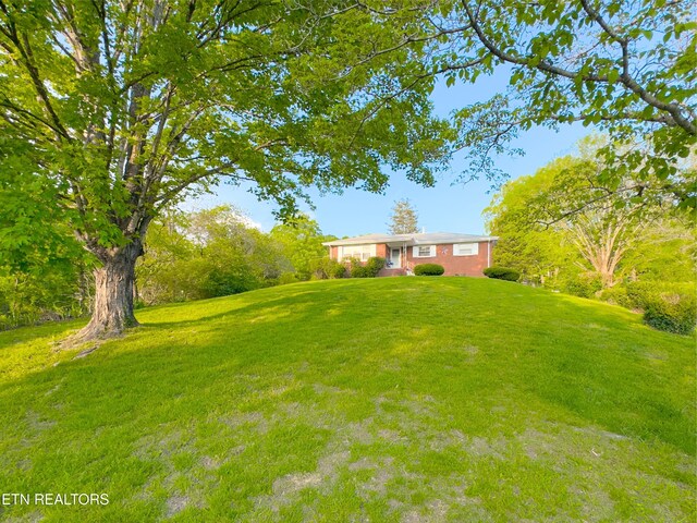 161 Cedar Ln, Rocky Top, TN 37769 - view of grassy yard