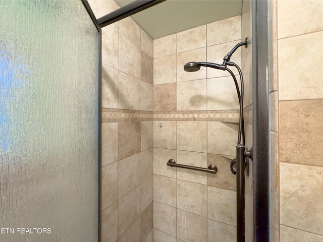 161 Cedar Ln, Rocky Top, TN 37769 - bathroom view of a shower stall