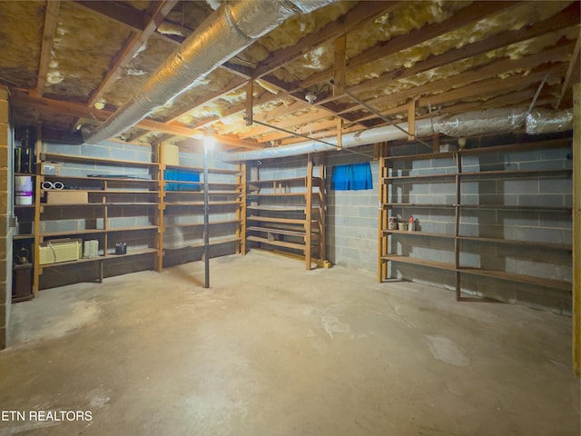 161 Cedar Ln, Rocky Top, TN 37769 - view of unfinished below grade area
