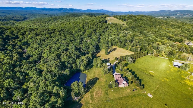1090 Snow Hill Rd, Oakdale, TN 37829 - aerial view of property and surrounding area with a forest and a mountainous background
