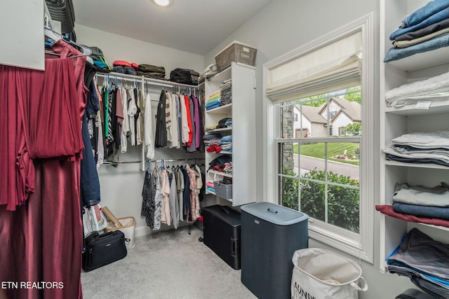 9337 Sandy Springs Ln, Knoxville, TN 37922 - walk in closet with carpet floors