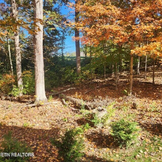 2464 Mountain Dr, Lenoir City, TN 37772 - view of undeveloped land