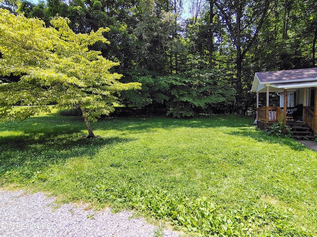 3497 Whittaker Rd, Cookeville, TN 38506 - view of grassy yard