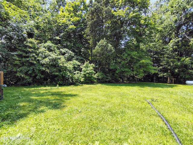 3497 Whittaker Rd, Cookeville, TN 38506 - view of grassy yard