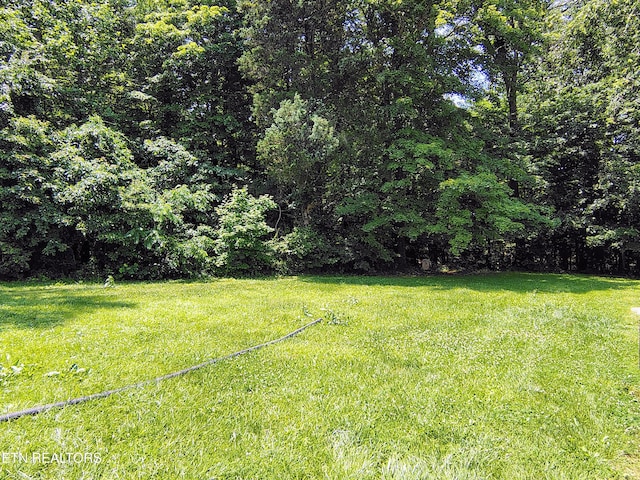 3497 Whittaker Rd, Cookeville, TN 38506 - view of green lawn