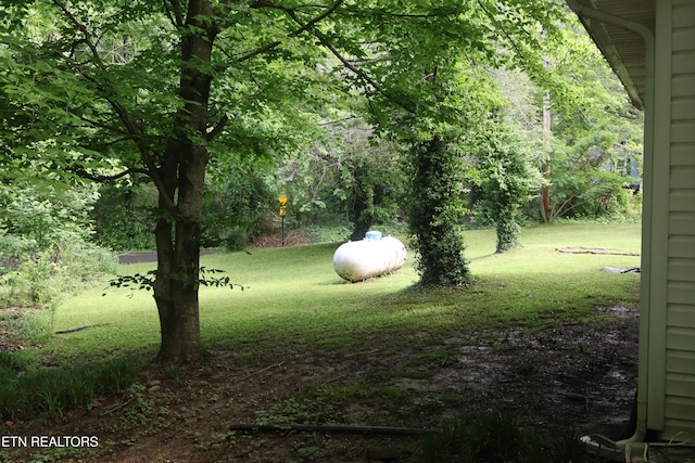 view of grassy yard