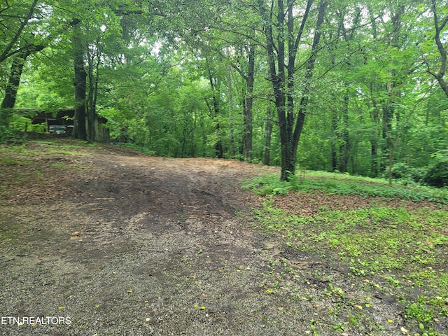 view of wooded area