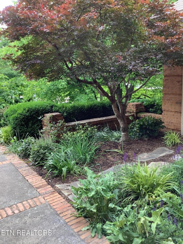 1402 Coachman Ln, Knoxville, TN 37919 - photo 5