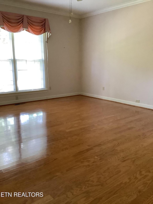 1402 Coachman Ln, Knoxville, TN 37919 - photo 21