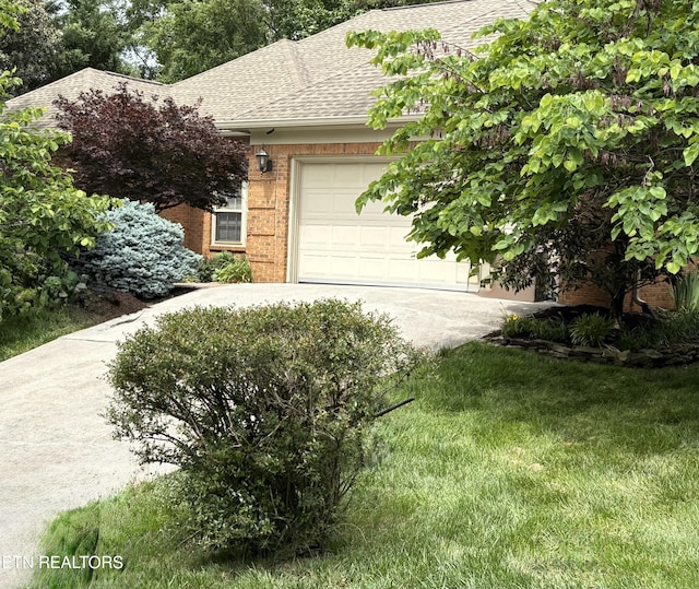 1402 Coachman Ln, Knoxville, TN 37919 - photo 2