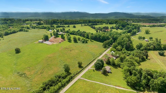6141 Janeway Rd, Maryville, TN 37801 - photo 7