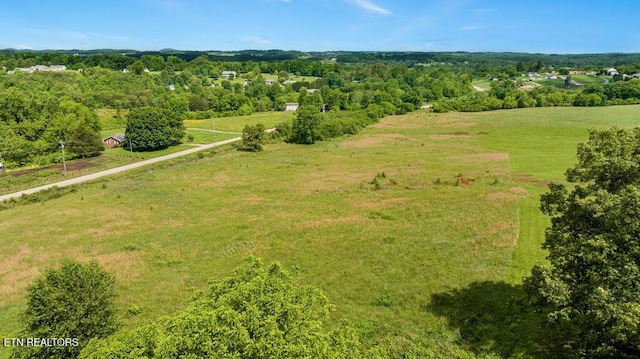 6141 Janeway Rd, Maryville, TN 37801 - photo 10