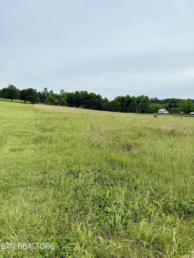 6141 Janeway Rd, Maryville, TN 37801 - photo 14