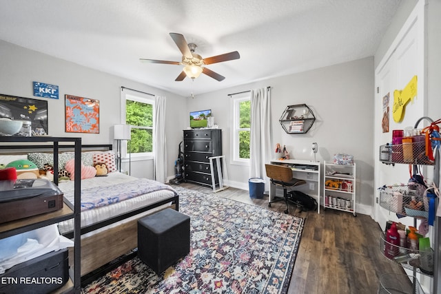 2007 NE Albert Ave, Knoxville, TN 37917 - bedroom featuring multiple windows, wood finished floors, and baseboards