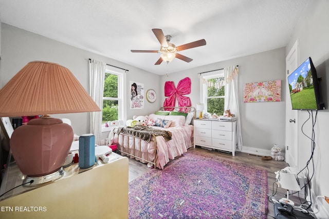 2007 NE Albert Ave, Knoxville, TN 37917 - bedroom with multiple windows, wood finished floors, a ceiling fan, and baseboards