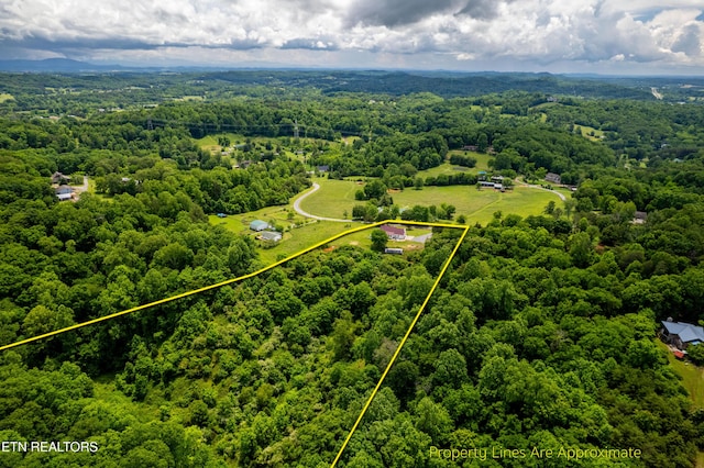 4464 W Countryside W, Friendsville, TN 37737 - photo 44
