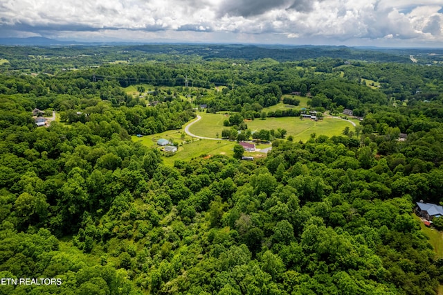 4464 W Countryside W, Friendsville, TN 37737 - photo 45