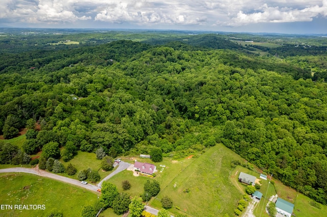 4464 W Countryside W, Friendsville, TN 37737 - photo 54